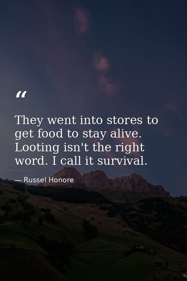 They went into stores to get food to stay alive. Looting isn't the right word. I call it survival. — Russel Honore