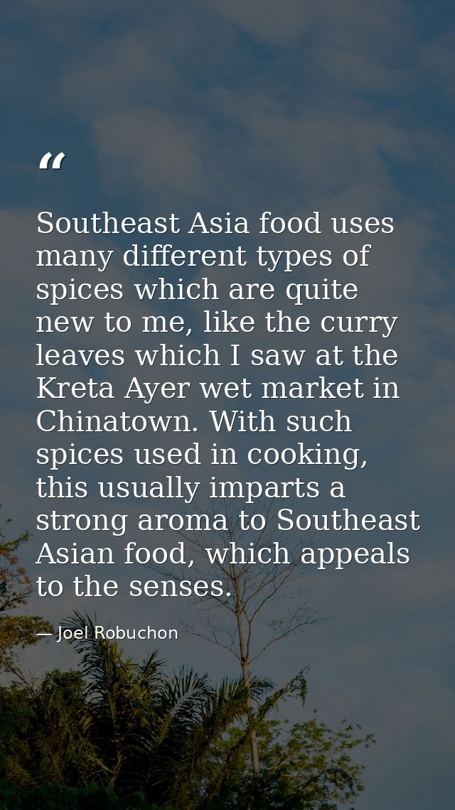 Southeast Asia food uses many different types of spices which are quite new to me, like the curry leaves which I saw at  — Joel Robuchon