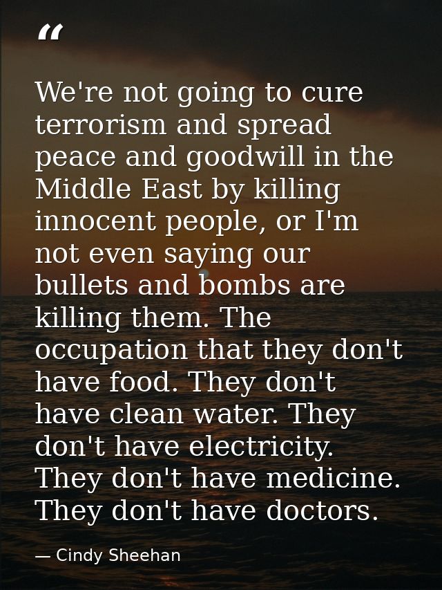 We're not going to cure terrorism and spread peace and goodwill in the Middle East by killing innocent people, or I'm no — Cindy Sheehan