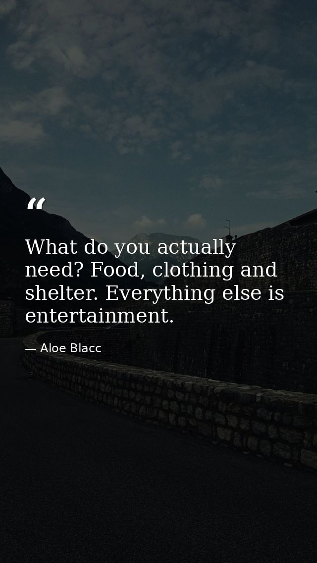 What do you actually need? Food, clothing and shelter. Everything else is entertainment. — Aloe Blacc