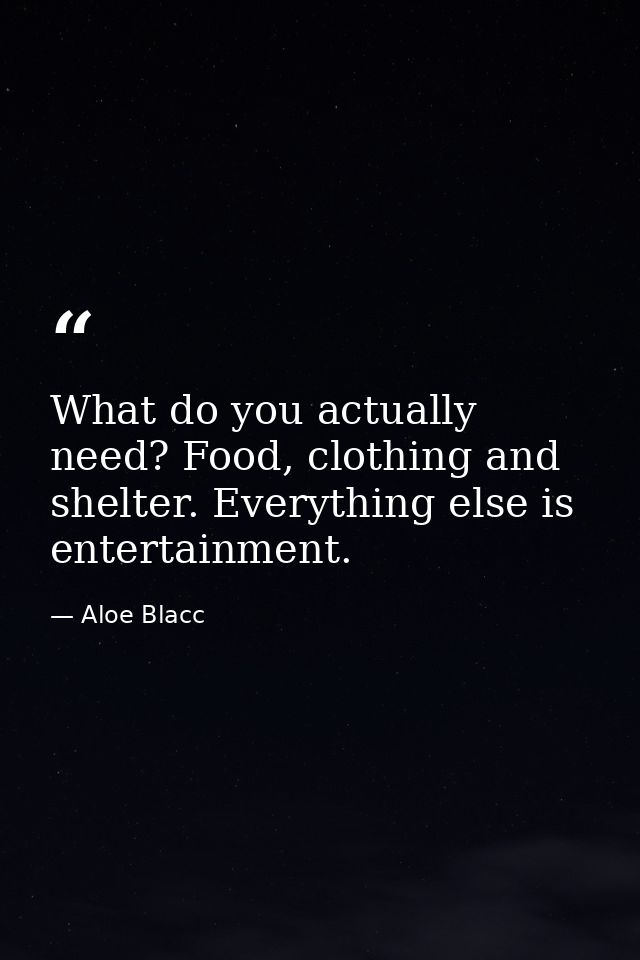 What do you actually need? Food, clothing and shelter. Everything else is entertainment. — Aloe Blacc