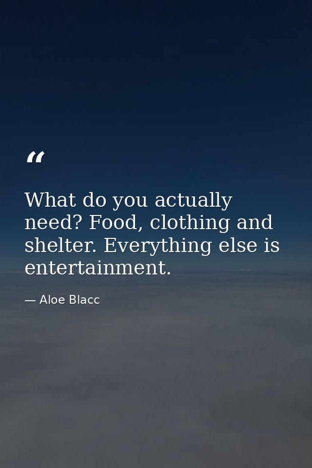 What do you actually need? Food, clothing and shelter. Everything else is entertainment. — Aloe Blacc