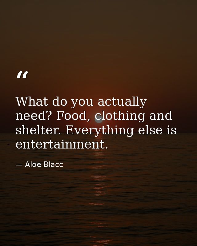 What do you actually need? Food, clothing and shelter. Everything else is entertainment. — Aloe Blacc