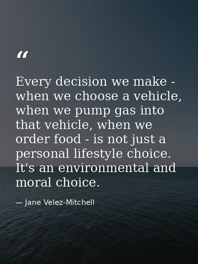 Every decision we make - when we choose a vehicle, when we pump gas into that vehicle, when we order food - is not just  — Jane Velez-Mitchell