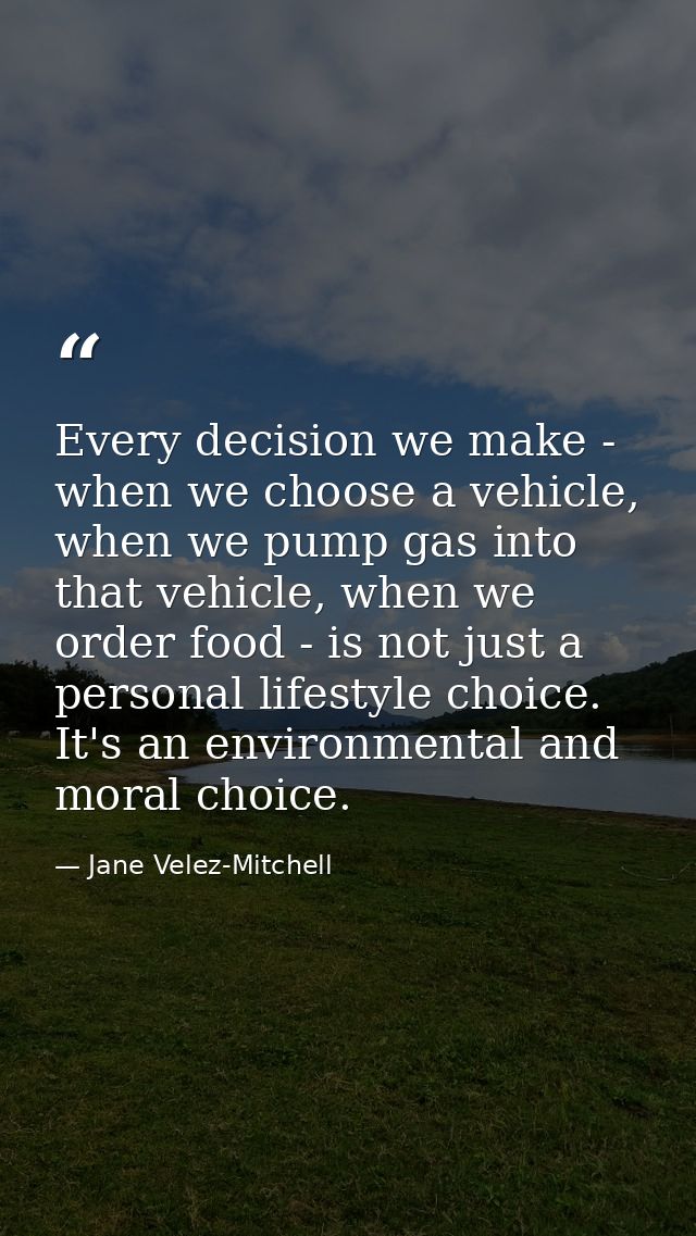 Every decision we make - when we choose a vehicle, when we pump gas into that vehicle, when we order food - is not just  — Jane Velez-Mitchell