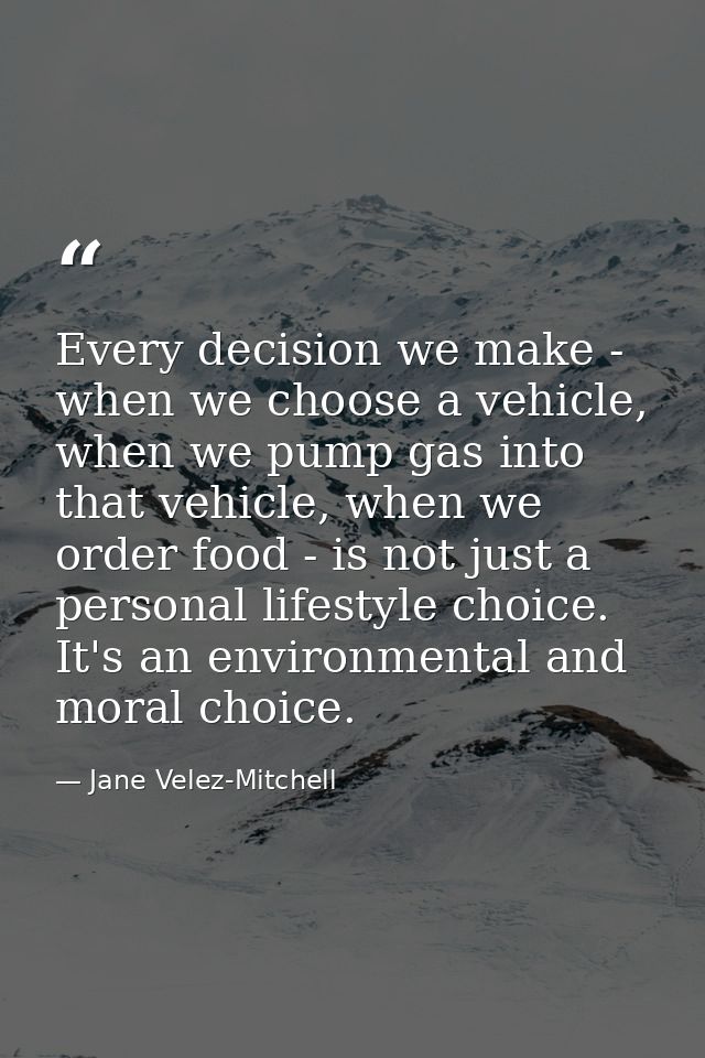 Every decision we make - when we choose a vehicle, when we pump gas into that vehicle, when we order food - is not just  — Jane Velez-Mitchell