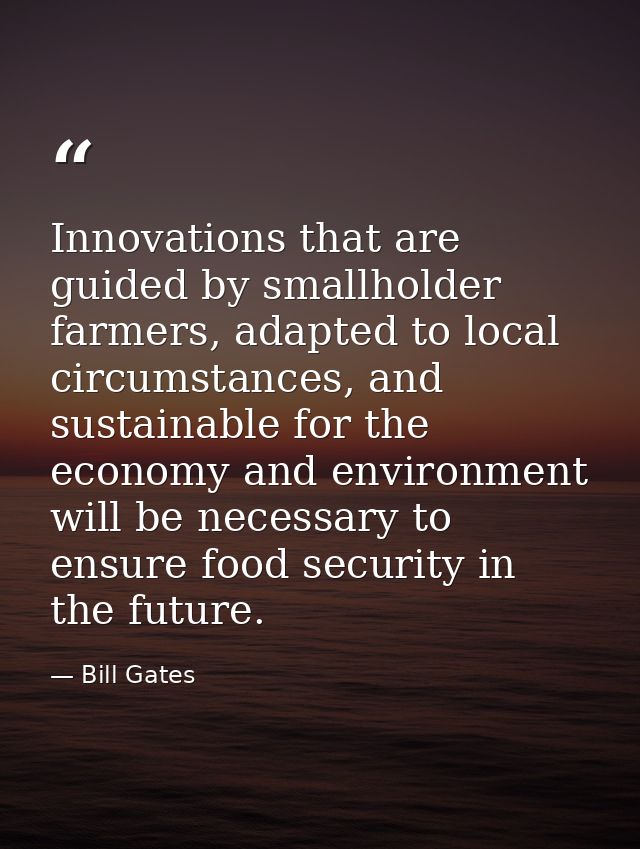 Innovations that are guided by smallholder farmers, adapted to local circumstances, and sustainable for the economy and  — Bill Gates