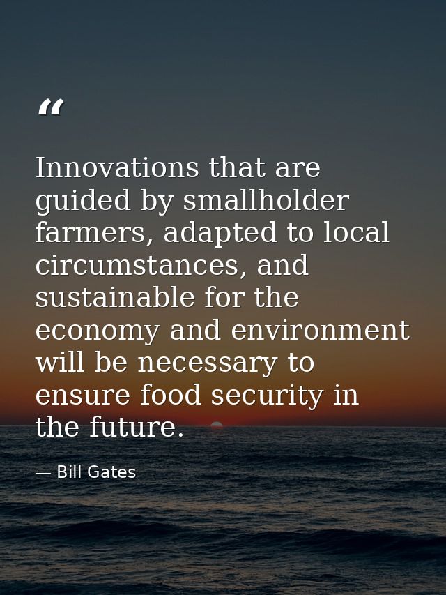 Innovations that are guided by smallholder farmers, adapted to local circumstances, and sustainable for the economy and  — Bill Gates
