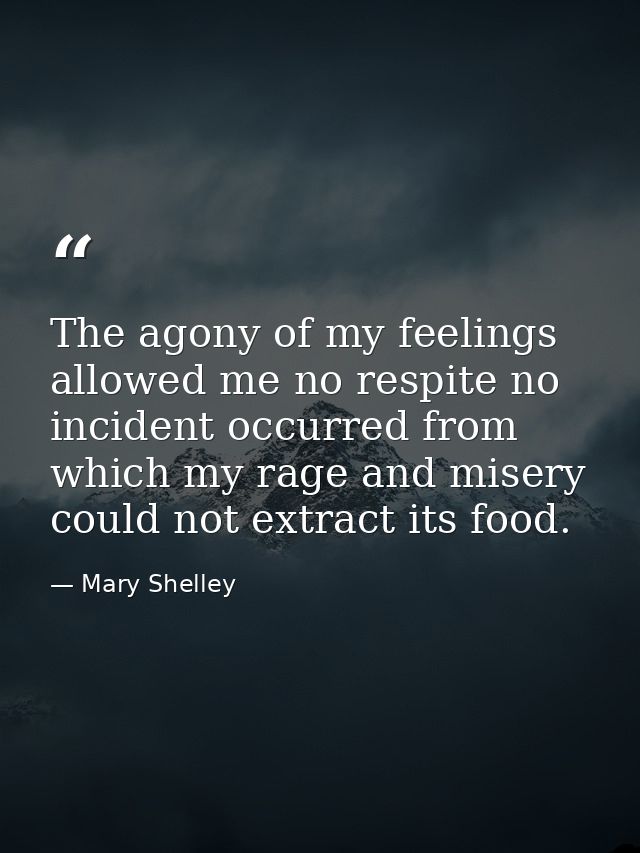 The agony of my feelings allowed me no respite no incident occurred from which my rage and misery could not extract its  — Mary Shelley