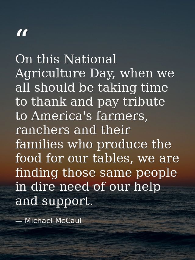 On this National Agriculture Day, when we all should be taking time to thank and pay tribute to America's farmers, ranch — Michael McCaul
