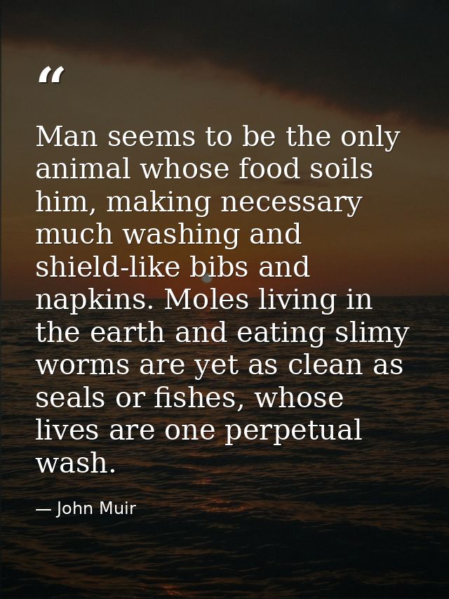 Man seems to be the only animal whose food soils him, making necessary much washing and shield-like bibs and napkins. Mo — John Muir