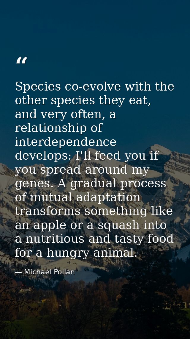 Species co-evolve with the other species they eat, and very often, a relationship of interdependence develops: I'll feed — Michael Pollan