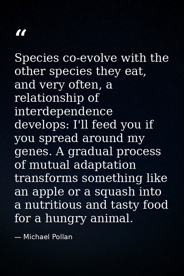 Species co-evolve with the other species they eat, and very often, a relationship of interdependence develops: I'll feed — Michael Pollan