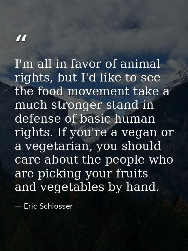 I'm all in favor of animal rights, but I'd like to see the food movement take a much stronger stand in defense of basic  — Eric Schlosser