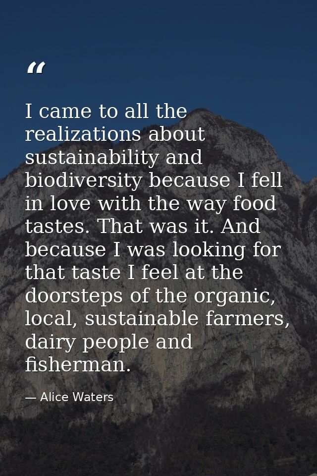 I came to all the realizations about sustainability and biodiversity because I fell in love with the way food tastes. Th — Alice Waters