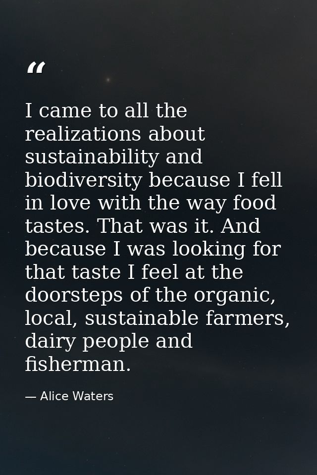 I came to all the realizations about sustainability and biodiversity because I fell in love with the way food tastes. Th — Alice Waters