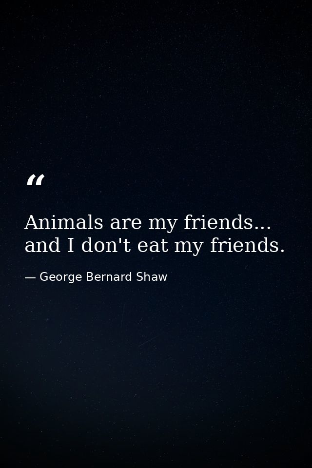 Animals are my friends... and I don't eat my friends. — George Bernard Shaw