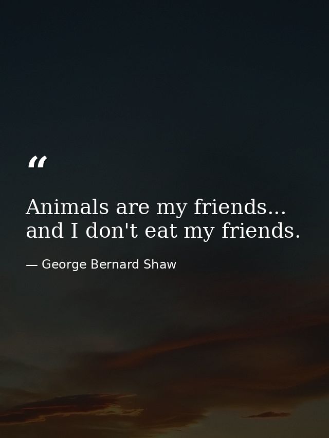 Animals are my friends... and I don't eat my friends. — George Bernard Shaw