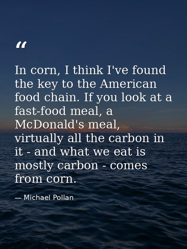 In corn, I think I've found the key to the American food chain. If you look at a fast-food meal, a McDonald's meal, virt — Michael Pollan