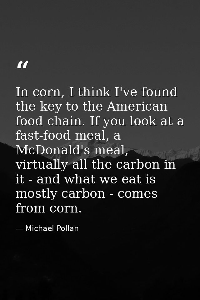 In corn, I think I've found the key to the American food chain. If you look at a fast-food meal, a McDonald's meal, virt — Michael Pollan