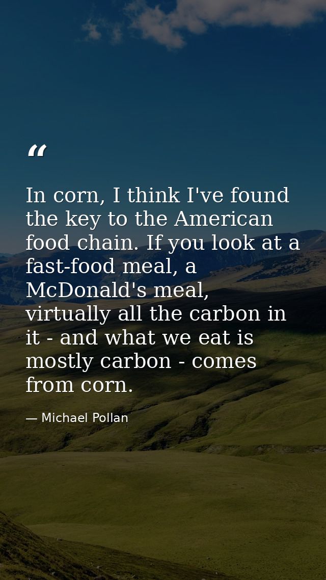 In corn, I think I've found the key to the American food chain. If you look at a fast-food meal, a McDonald's meal, virt — Michael Pollan