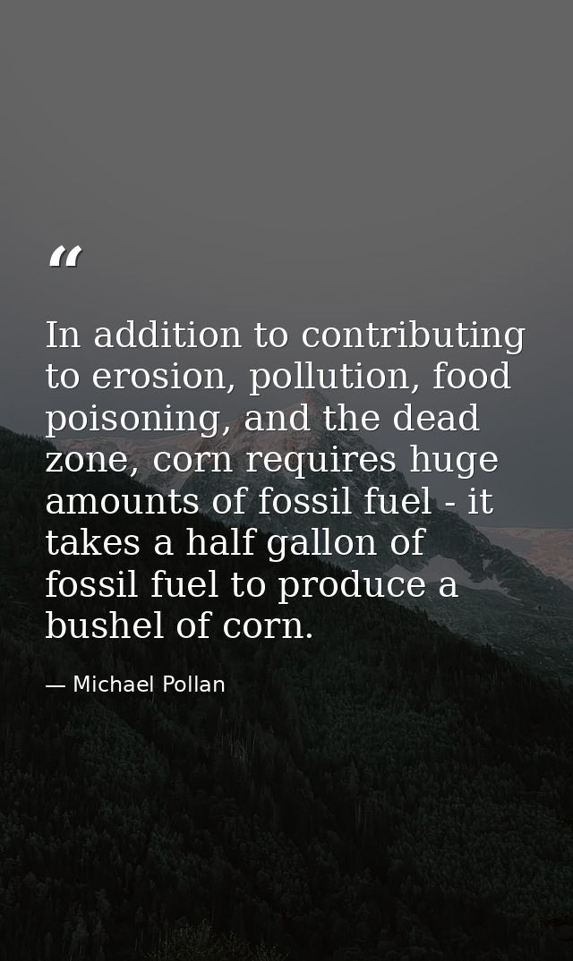 In addition to contributing to erosion, pollution, food poisoning, and the dead zone, corn requires huge amounts of foss — Michael Pollan