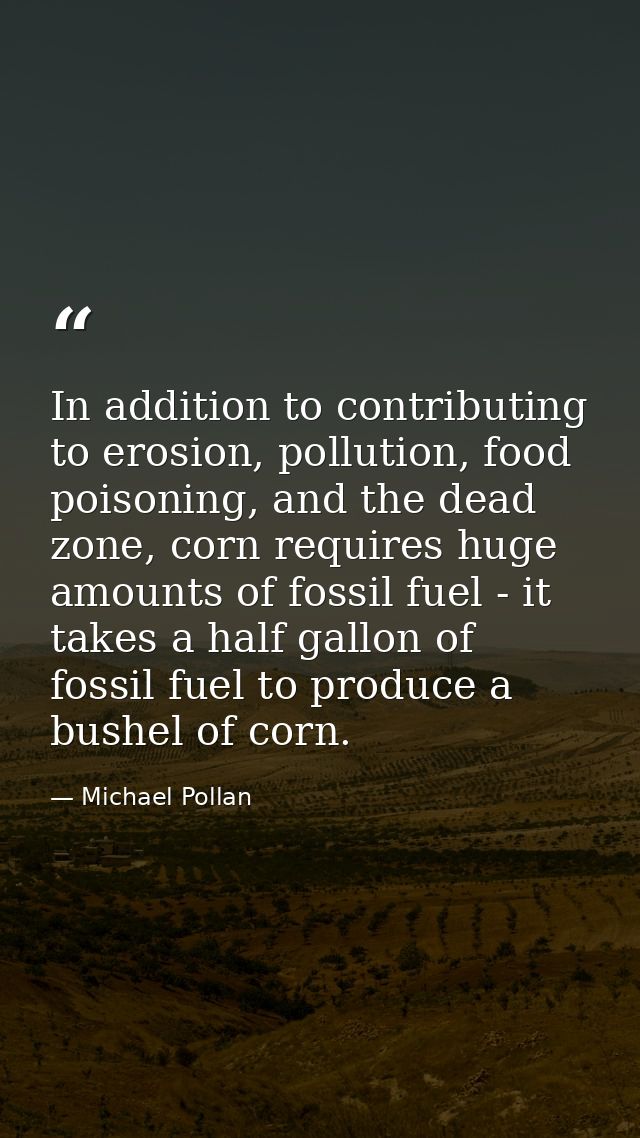 In addition to contributing to erosion, pollution, food poisoning, and the dead zone, corn requires huge amounts of foss — Michael Pollan