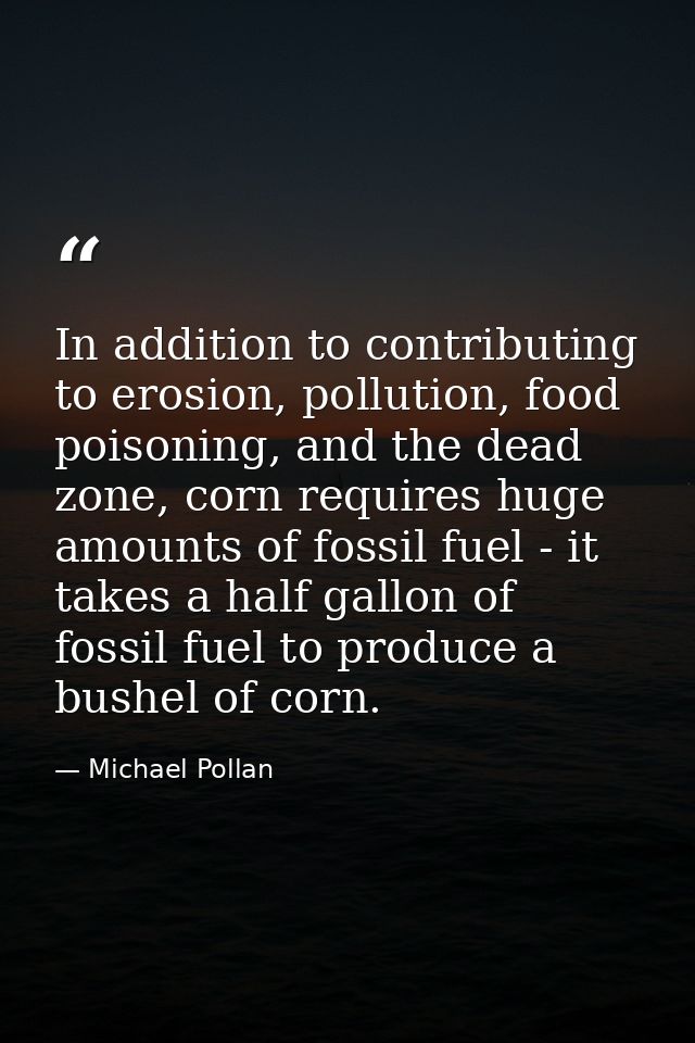 In addition to contributing to erosion, pollution, food poisoning, and the dead zone, corn requires huge amounts of foss — Michael Pollan