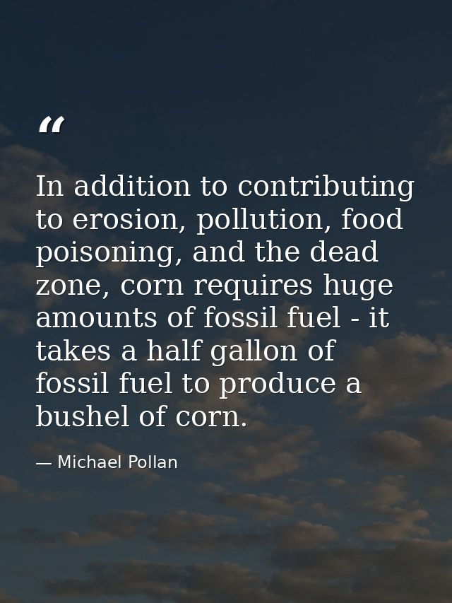 In addition to contributing to erosion, pollution, food poisoning, and the dead zone, corn requires huge amounts of foss — Michael Pollan
