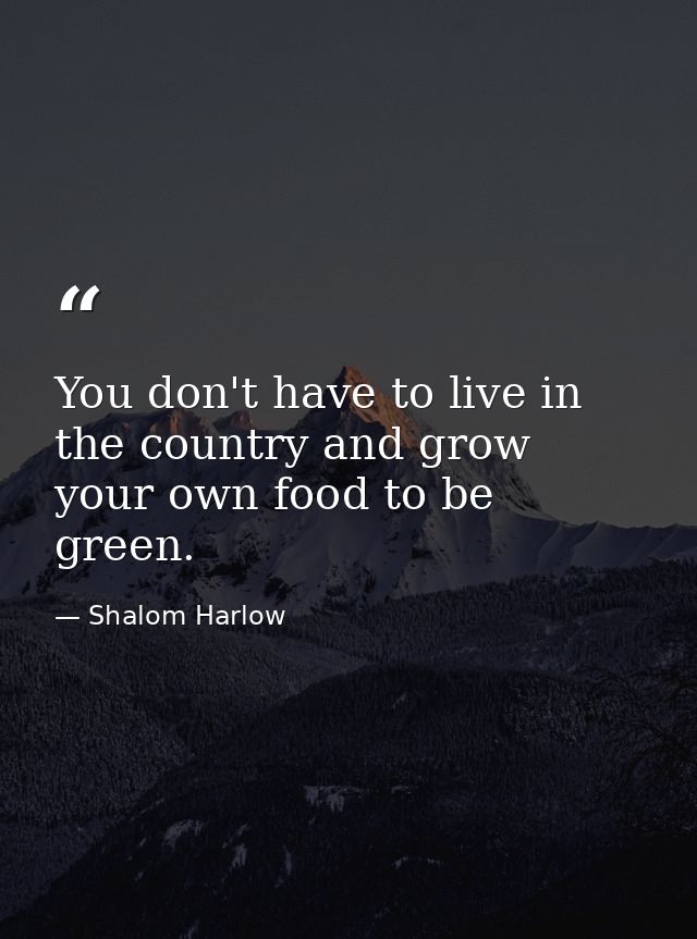 You don't have to live in the country and grow your own food to be green. — Shalom Harlow