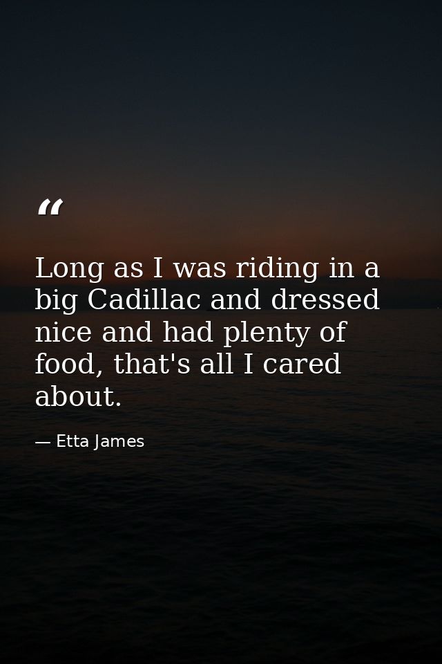 Long as I was riding in a big Cadillac and dressed nice and had plenty of food, that's all I cared about. — Etta James