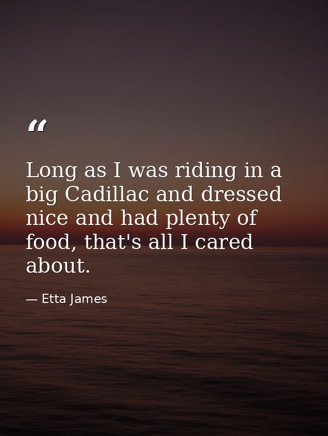 Long as I was riding in a big Cadillac and dressed nice and had plenty of food, that's all I cared about. — Etta James