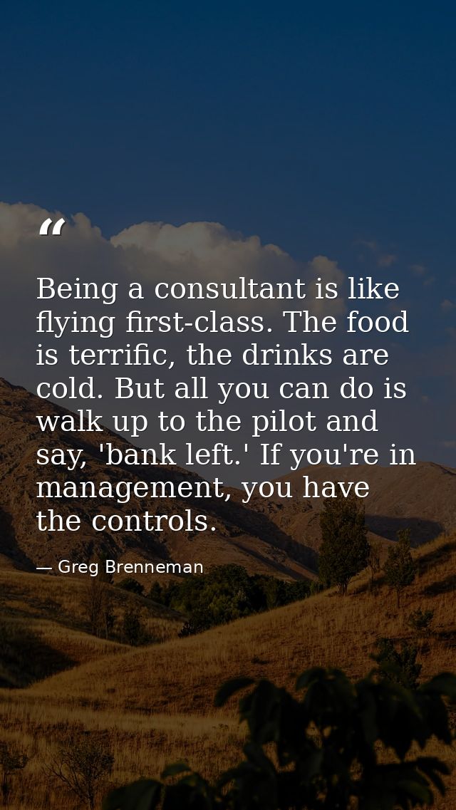 Being a consultant is like flying first-class. The food is terrific, the drinks are cold. But all you can do is walk up  — Greg Brenneman