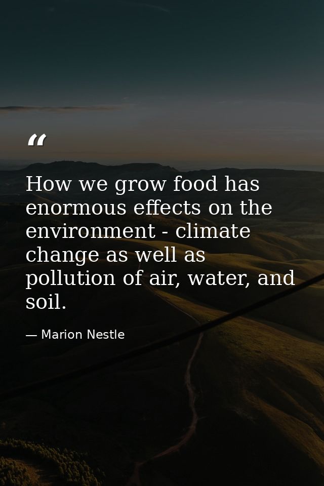 How we grow food has enormous effects on the environment - climate change as well as pollution of air, water, and soil. — Marion Nestle