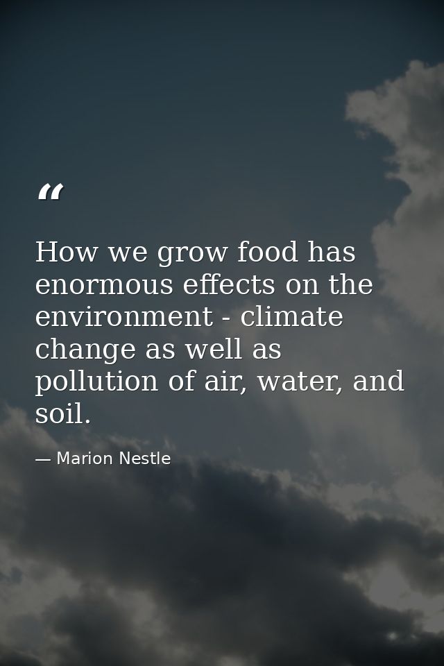 How we grow food has enormous effects on the environment - climate change as well as pollution of air, water, and soil. — Marion Nestle