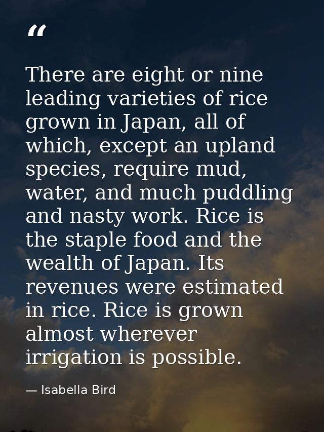 There are eight or nine leading varieties of rice grown in Japan, all of which, except an upland species, require mud, w — Isabella Bird