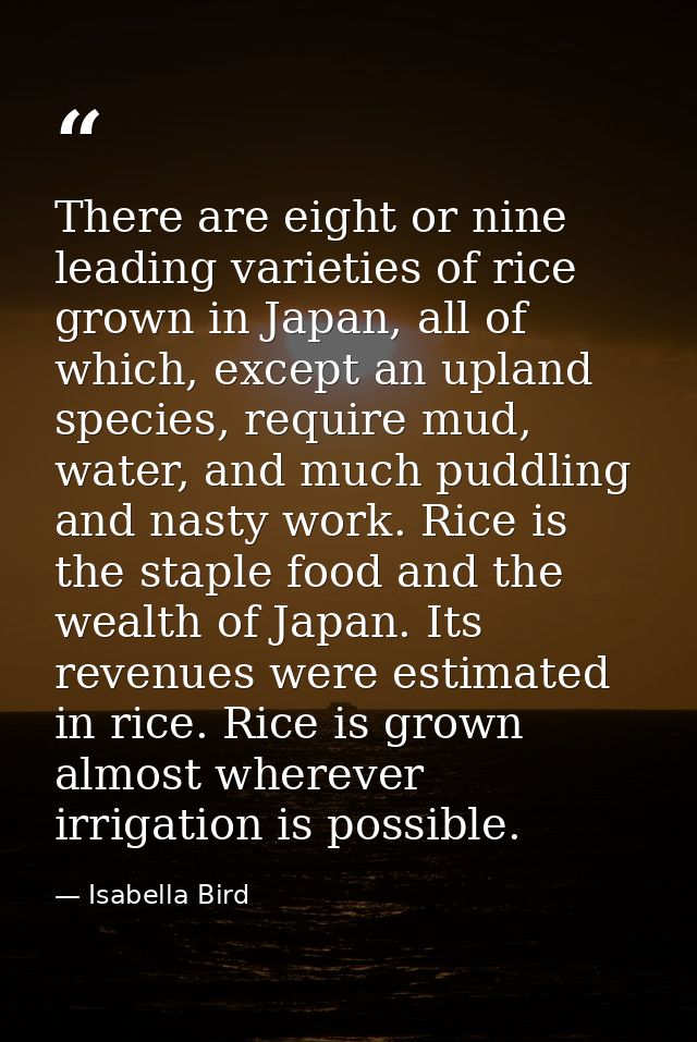 There are eight or nine leading varieties of rice grown in Japan, all of which, except an upland species, require mud, w — Isabella Bird