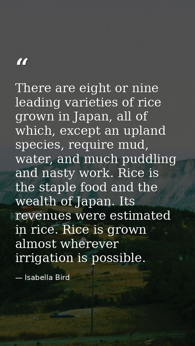 There are eight or nine leading varieties of rice grown in Japan, all of which, except an upland species, require mud, w — Isabella Bird