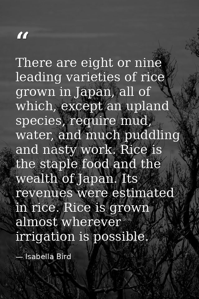 There are eight or nine leading varieties of rice grown in Japan, all of which, except an upland species, require mud, w — Isabella Bird