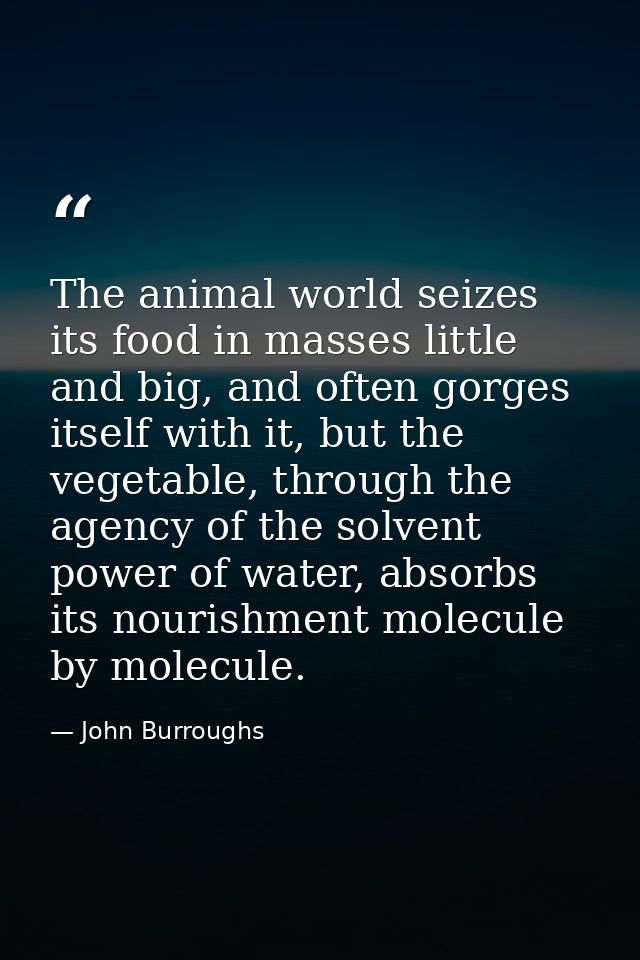 The animal world seizes its food in masses little and big, and often gorges itself with it, but the vegetable, through t — John Burroughs