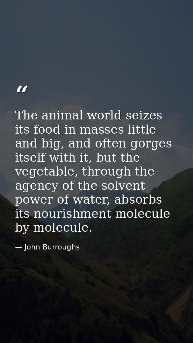 The animal world seizes its food in masses little and big, and often gorges itself with it, but the vegetable, through t — John Burroughs