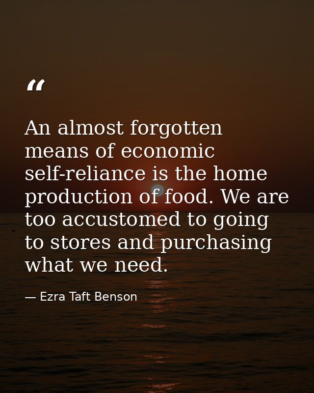 An almost forgotten means of economic self-reliance is the home production of food. We are too accustomed to going to st — Ezra Taft Benson