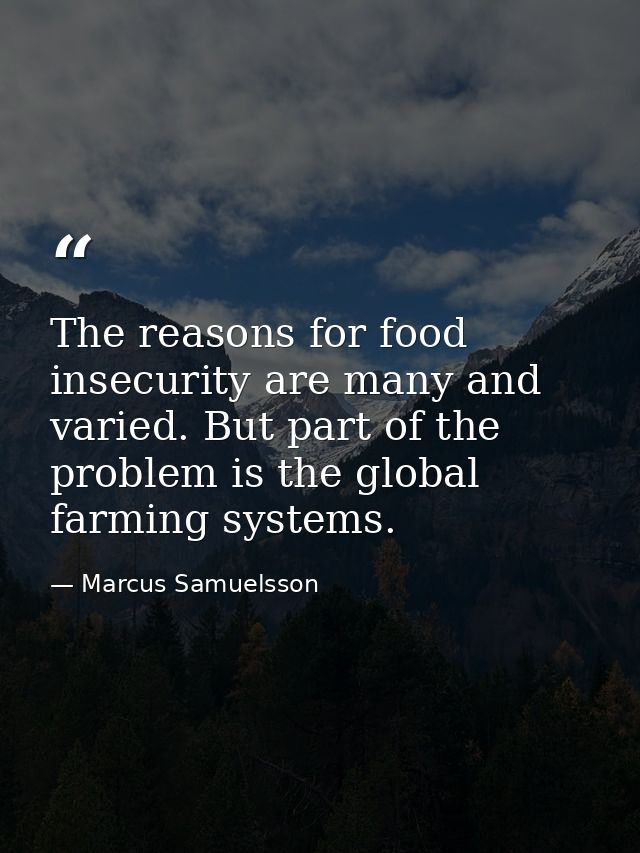 The reasons for food insecurity are many and varied. But part of the problem is the global farming systems. — Marcus Samuelsson