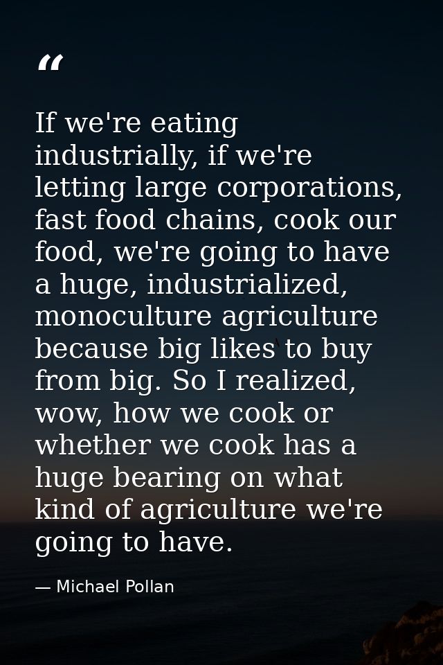 If we're eating industrially, if we're letting large corporations, fast food chains, cook our food, we're going to have  — Michael Pollan