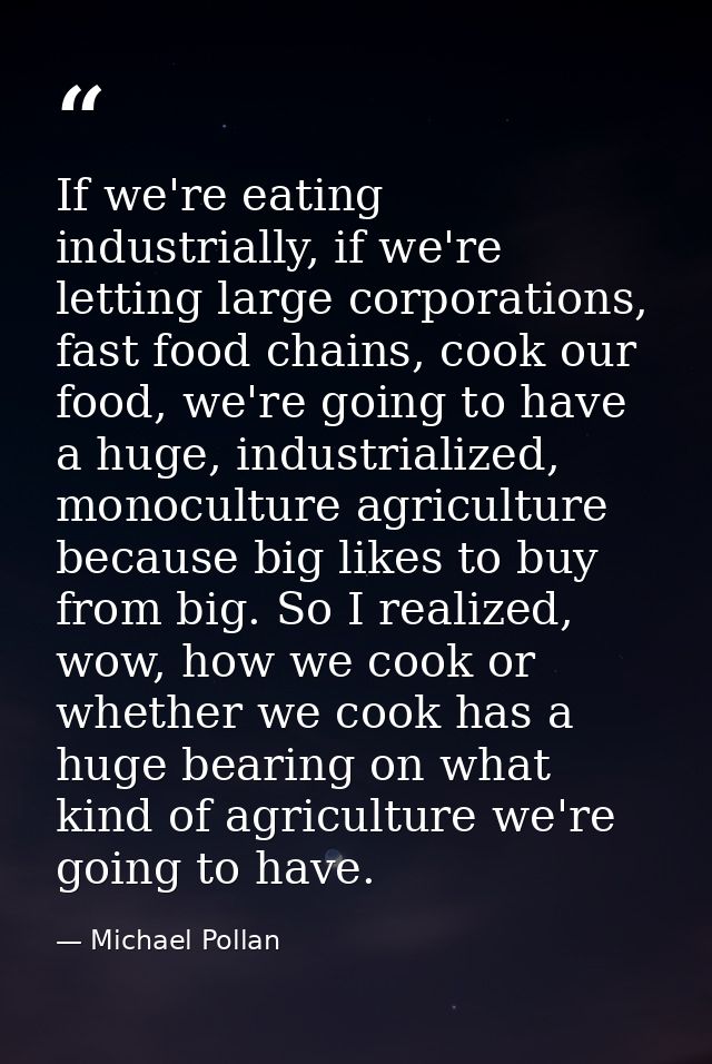 If we're eating industrially, if we're letting large corporations, fast food chains, cook our food, we're going to have  — Michael Pollan