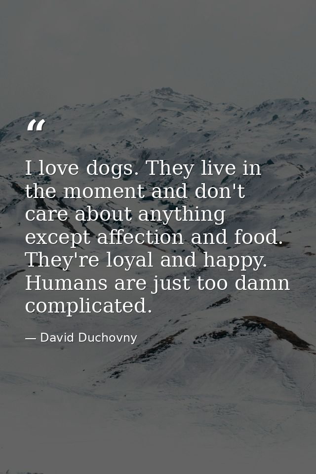 I love dogs. They live in the moment and don't care about anything except affection and food. They're loyal and happy. H — David Duchovny