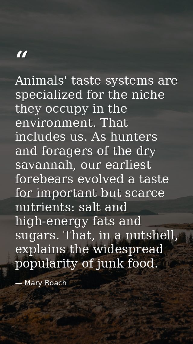 Animals' taste systems are specialized for the niche they occupy in the environment. That includes us. As hunters and fo — Mary Roach