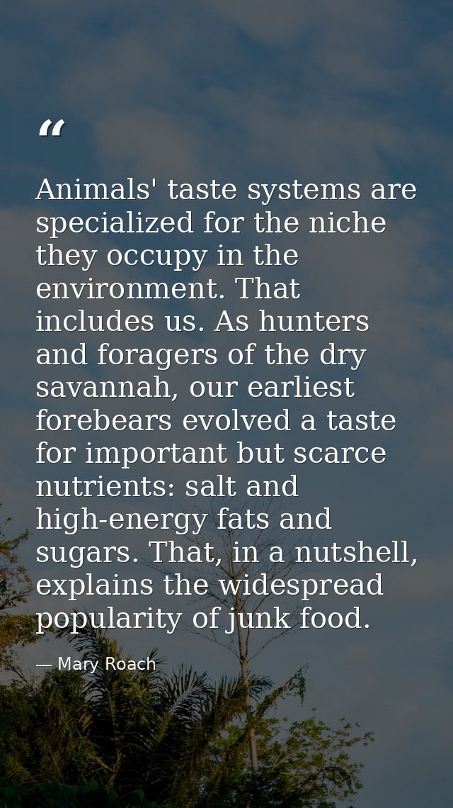 Animals' taste systems are specialized for the niche they occupy in the environment. That includes us. As hunters and fo — Mary Roach
