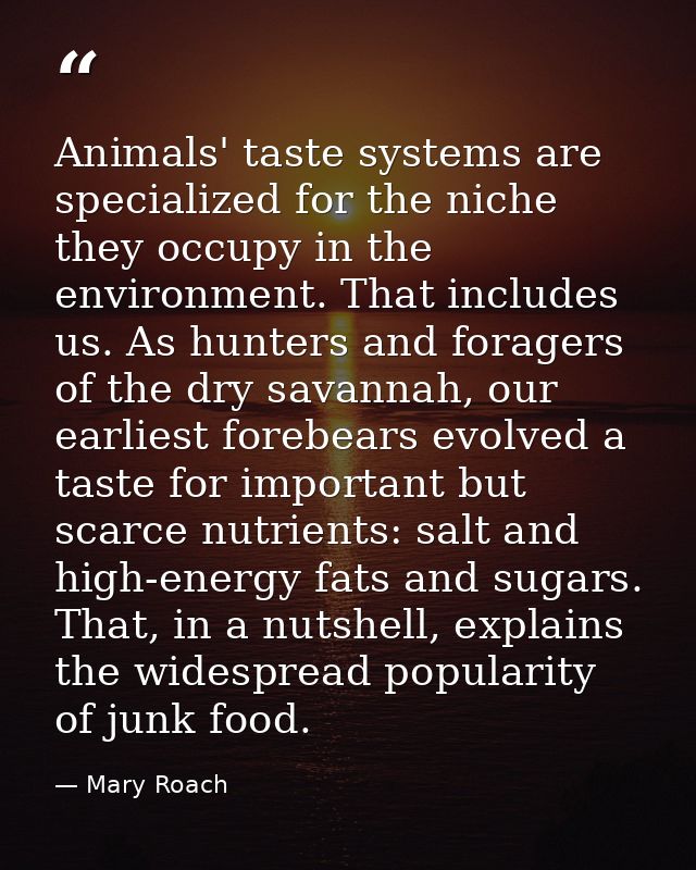 Animals' taste systems are specialized for the niche they occupy in the environment. That includes us. As hunters and fo — Mary Roach