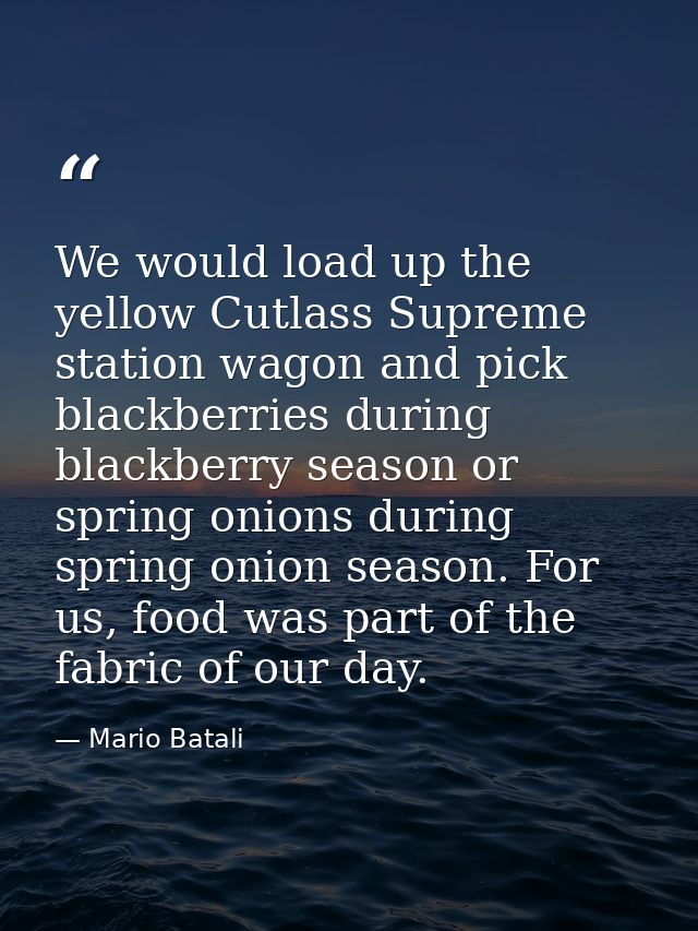 We would load up the yellow Cutlass Supreme station wagon and pick blackberries during blackberry season or spring onion — Mario Batali